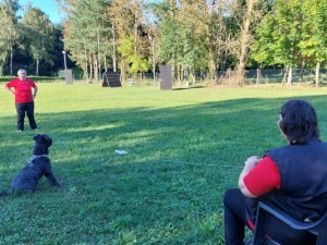 sommerfest-2024-spiel-4-3